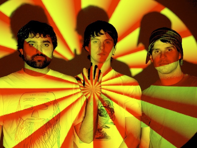 ANIMAL COLLECTIVE · Handsome Tours